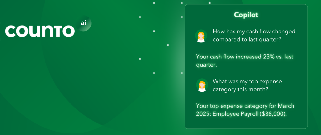 Counto Copilot can answer questions about your financial data to help you simplify your financial management and make informed business decisions.